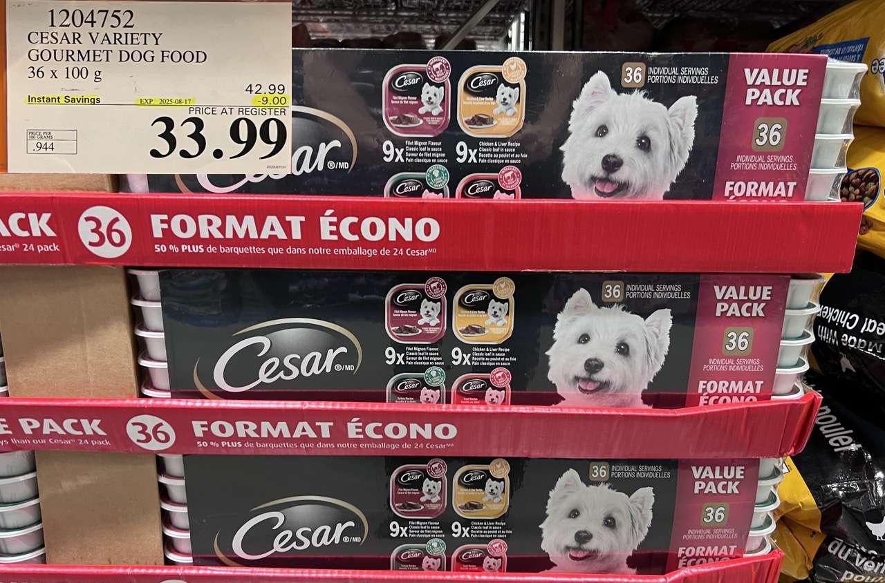 CESAR VARIETY  GOURMET DOG FOOD 36 x 100 g at Costco