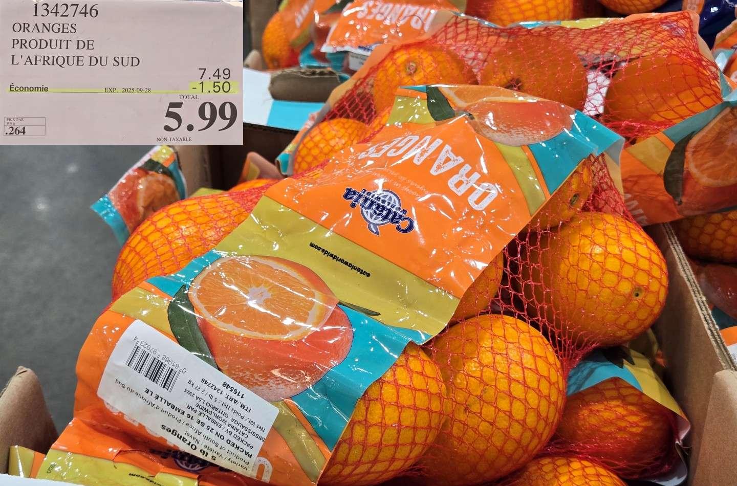 ORANGES  PRODUIT DE L'AFRIOQUE DU SUD at Costco