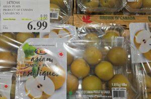 ASIAN PEARS PRODUCT OF CANADA CANADA NO 1 at Costco