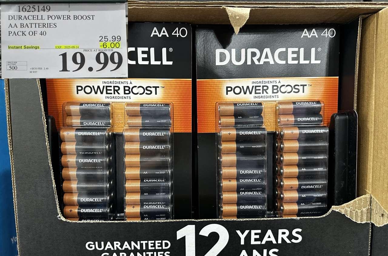 DURACELL POWER BOOST AA BATTERIES PACK OF 40 at Costco