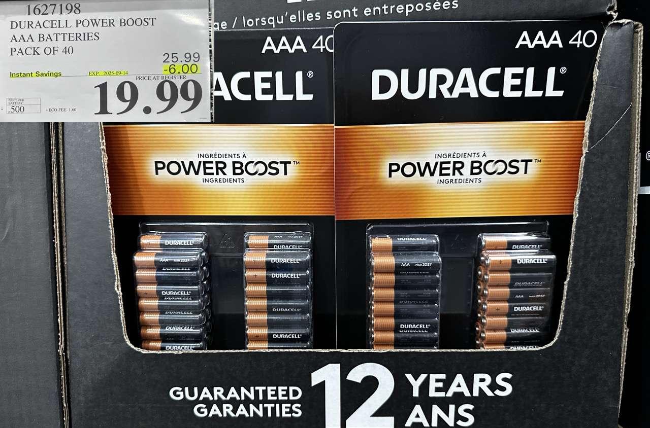 DURACELL POWER BOOST AAA BATTERIES PACK OF 40 at Costco
