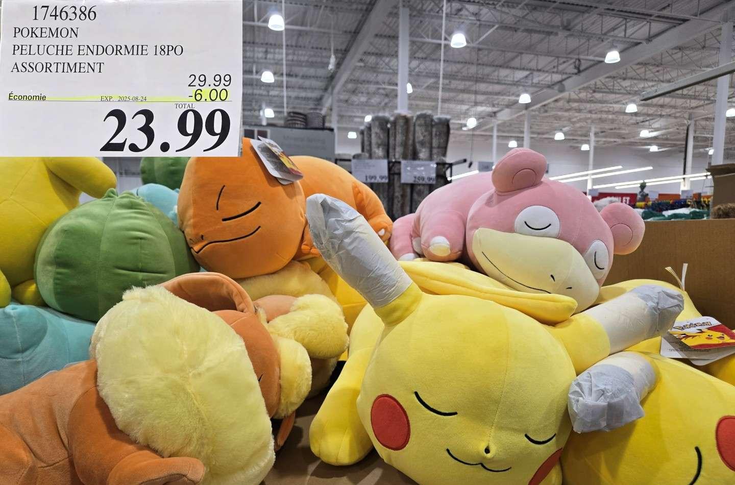 POKEMON PELUCHE ENDORMIE 18PO  ASSORTIMENT at Costco