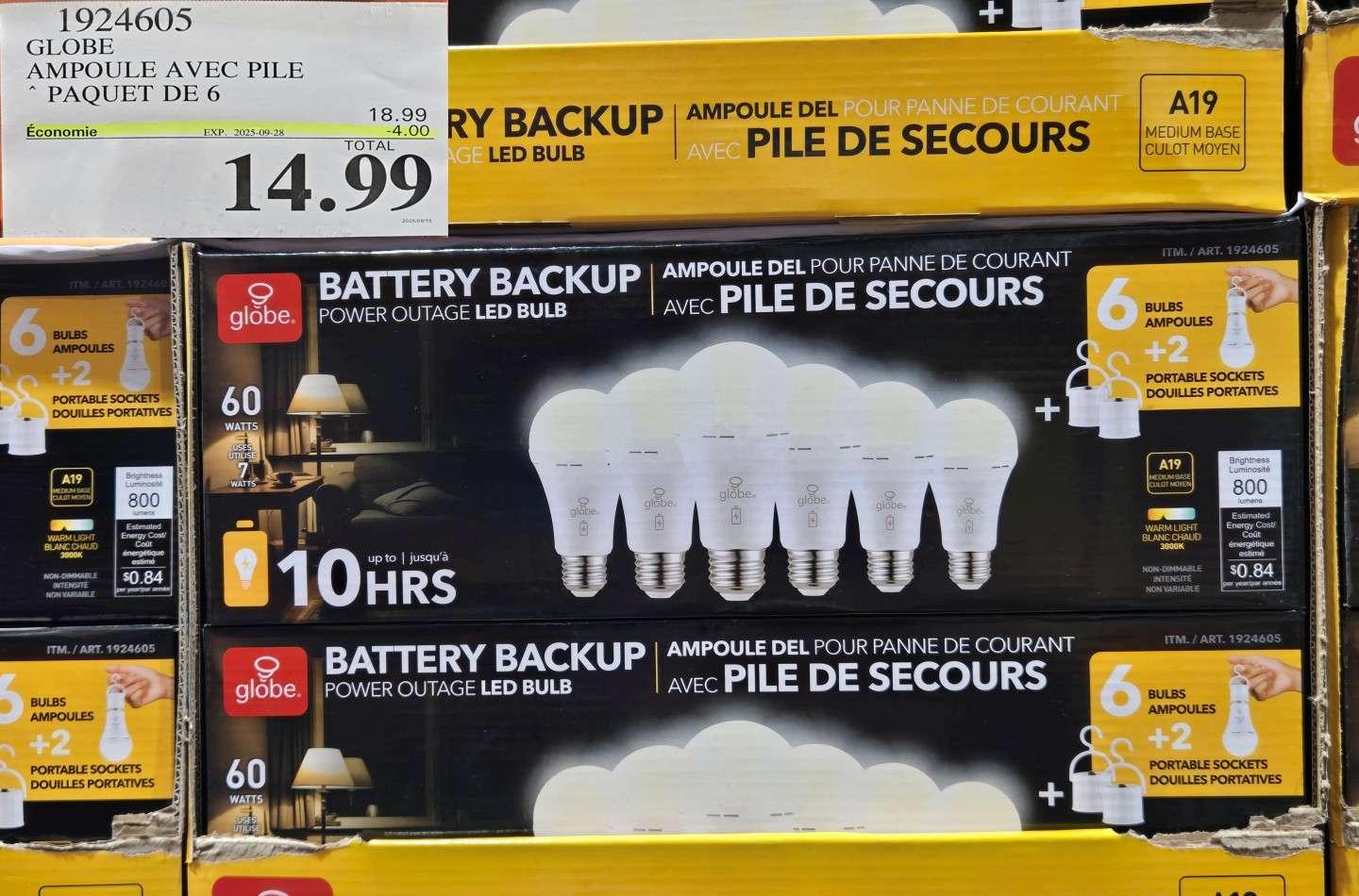 GLOBE AMPOULE AVEC PILE PAQUET DE 6 at Costco