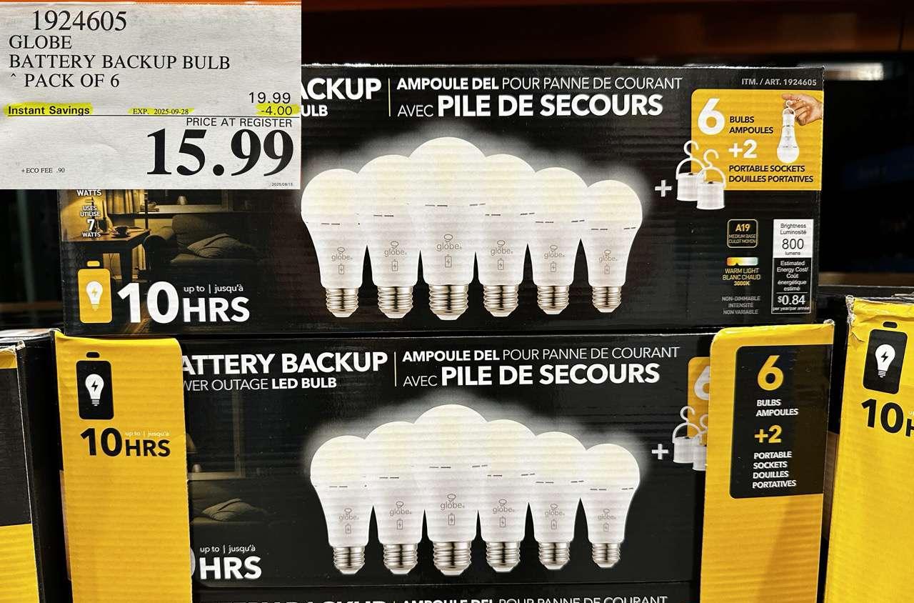 GLOBE BATTERY BACKUP BULB PACK OF 6 at Costco