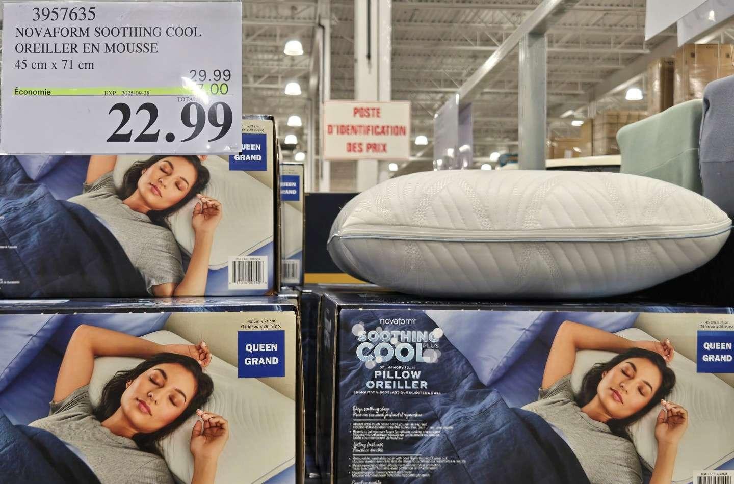 NOVAFORM SOOTHING COOL OREILLER EN MOUSSE VISCOELASTIQUE at Costco