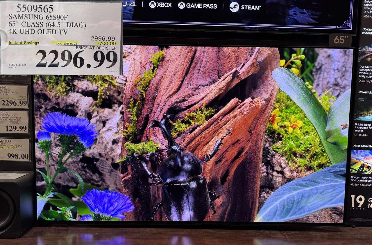 SAMSUNG 65S90F 65" CLASS (64.5" DIAG) 4K UHD OLED TV on sale at Costco