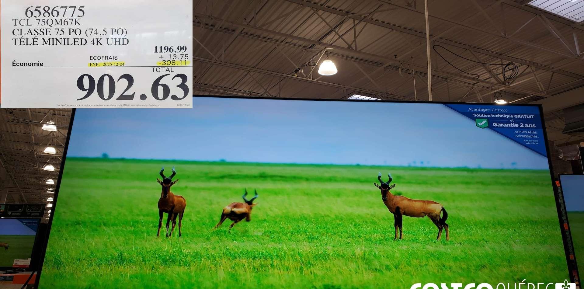 TCL 75QM67K CLASSE 75 PO (74,5 PO) TELE MINILED 4K UHD at Costco